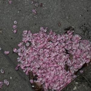 高跟鞋跟扎进尿眼扎流血视频
